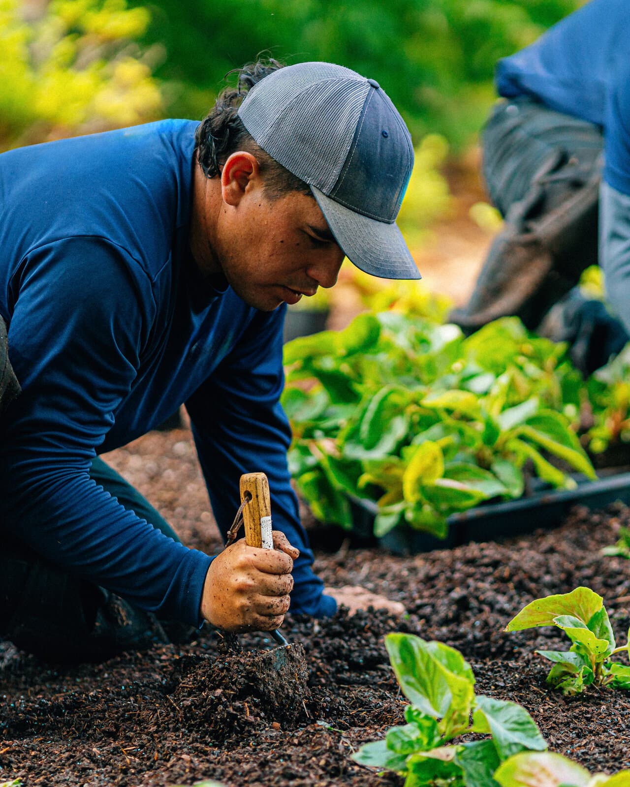 Landscaping business